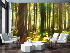 PRIRODA FOTO TAPETE 25