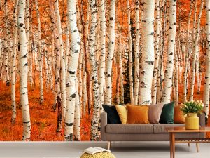 PRIRODA FOTO TAPETE 032
