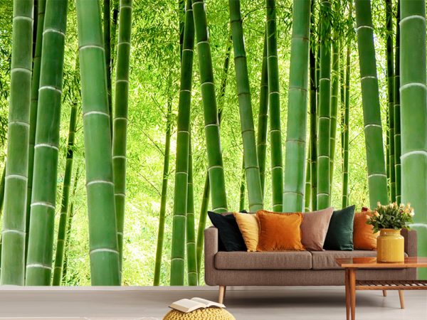 PRIRODA FOTO TAPETE 064