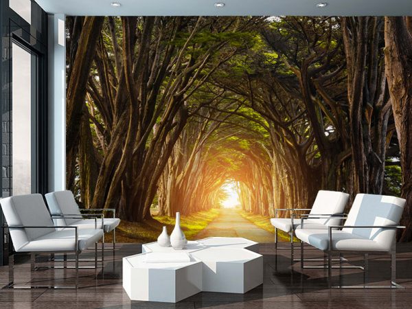 Dnevne sobe foto tapete 121