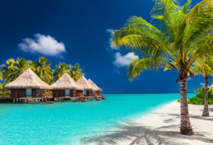 Maldivi 012