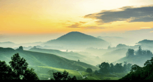 Dnevne sobe foto tapete 026