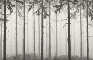 Dnevne sobe foto tapete 021