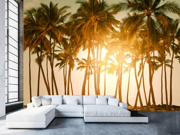 ZALAZAK SUNCA FOTO TAPETE 051