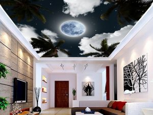 Plafonske foto tapete 021