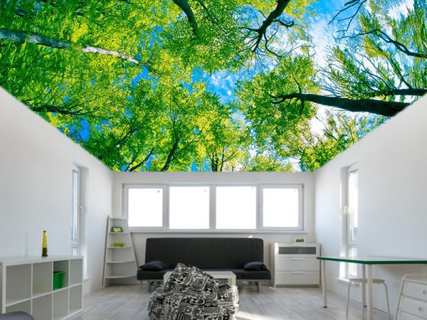 Plafonske foto tapete 040