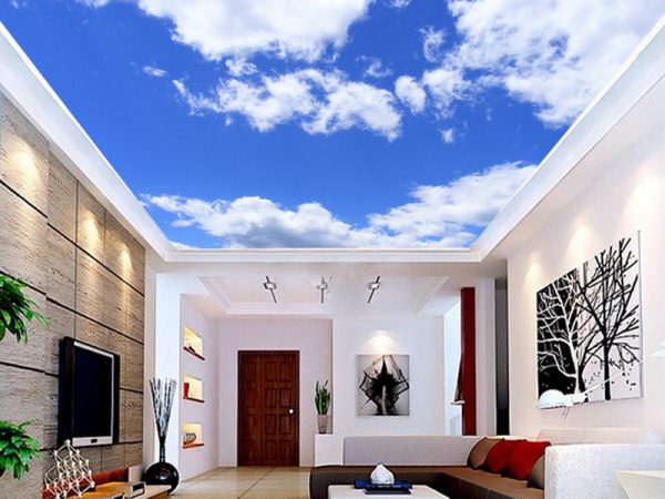 Plafonske foto tapete 042