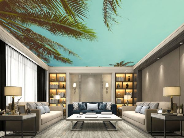 Plafonske foto tapete 050