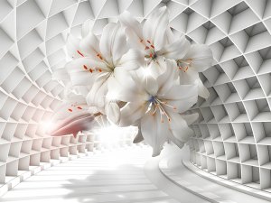 3D FOTO TAPETE 239a