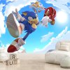 Sonic Tim Sonic Tim
