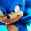 Sonic - Plavi Čuvar Sobe Sonic - Plavi Čuvar Sobe
