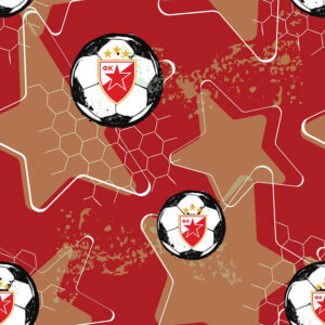 Zvezdane Lopte FKCZ